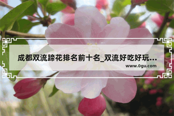 成都双流蹄花排名前十名_双流好吃好玩的地方