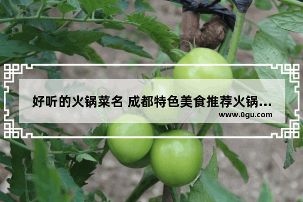 好听的火锅菜名 成都特色美食推荐火锅有哪些菜名好听
