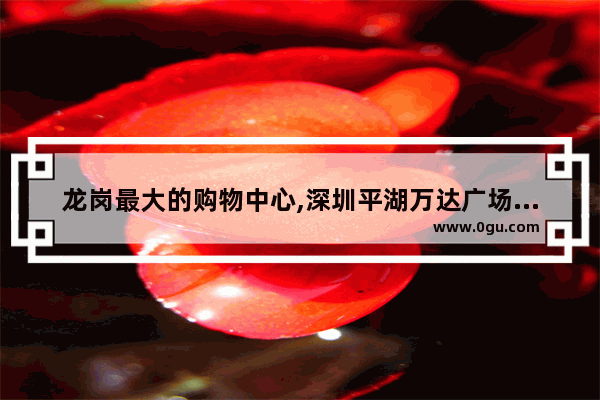 龙岗最大的购物中心,深圳平湖万达广场美食推荐在几楼啊多少钱