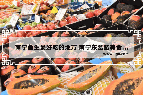 南宁鱼生最好吃的地方 南宁东葛路美食推荐餐厅地址在哪里