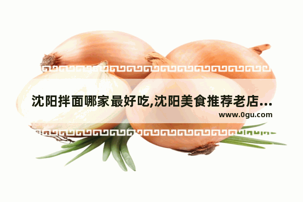 沈阳拌面哪家最好吃,沈阳美食推荐老店排名第一的有哪些店子