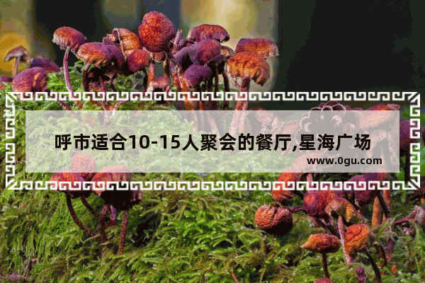 呼市适合10-15人聚会的餐厅,星海广场附近美食推荐6-8人餐厅