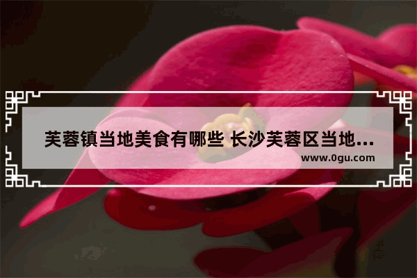芙蓉镇当地美食有哪些 长沙芙蓉区当地美食推荐餐厅有哪些呢