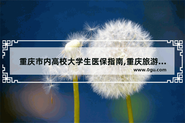 重庆市内高校大学生医保指南,重庆旅游美食推荐大学生吃什么最好