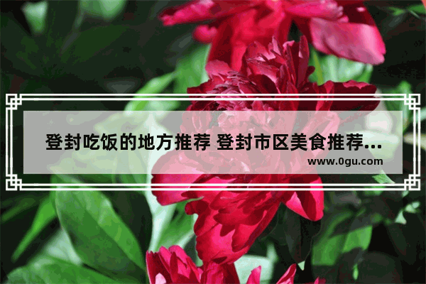 登封吃饭的地方推荐 登封市区美食推荐地方有哪些店