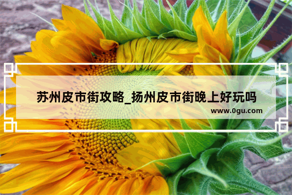 苏州皮市街攻略_扬州皮市街晚上好玩吗