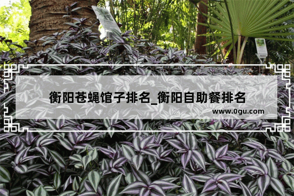 衡阳苍蝇馆子排名_衡阳自助餐排名