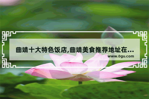 曲靖十大特色饭店,曲靖美食推荐地址在哪里呀最近