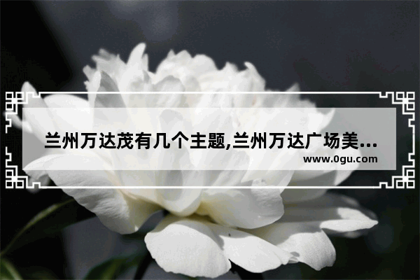 兰州万达茂有几个主题,兰州万达广场美食推荐店