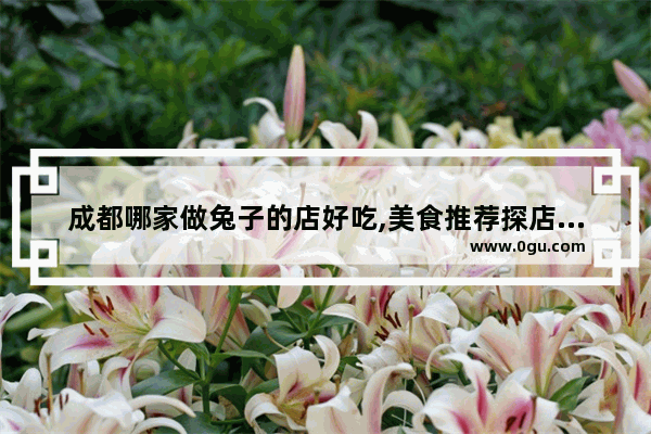 成都哪家做兔子的店好吃,美食推荐探店成都店铺有哪些地方可以做