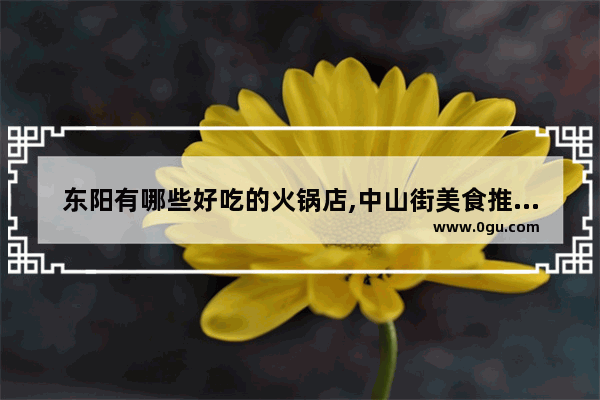 东阳有哪些好吃的火锅店,中山街美食推荐排行榜火锅有哪些菜