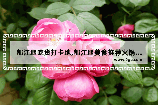 都江堰吃货打卡地,都江堰美食推荐火锅店有哪些