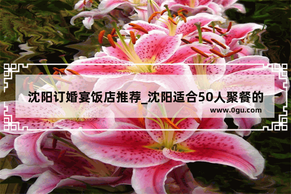 沈阳订婚宴饭店推荐_沈阳适合50人聚餐的地方