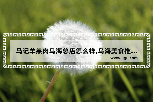 马记羊羔肉乌海总店怎么样,乌海美食推荐餐饮店有哪些品牌的