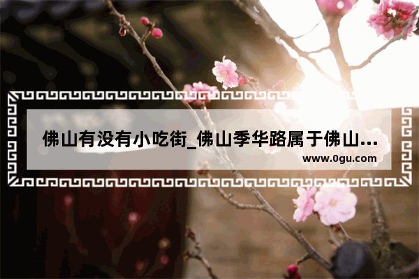 佛山有没有小吃街_佛山季华路属于佛山哪里