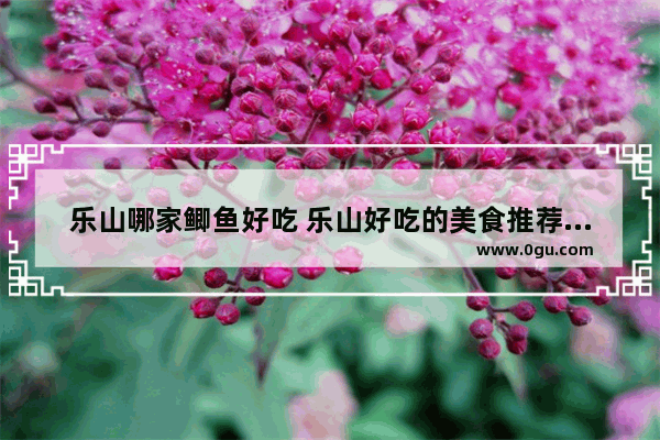乐山哪家鲫鱼好吃 乐山好吃的美食推荐店有哪些地方可以吃
