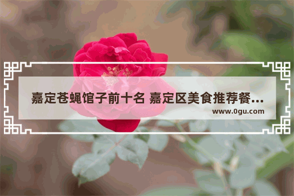 嘉定苍蝇馆子前十名 嘉定区美食推荐餐厅在哪里啊多少钱