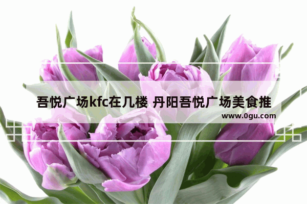 吾悦广场kfc在几楼 丹阳吾悦广场美食推荐店在几楼卖