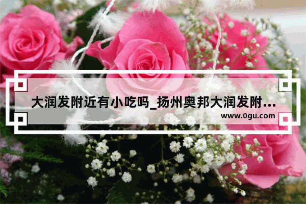 大润发附近有小吃吗_扬州奥邦大润发附近盒饭店位置
