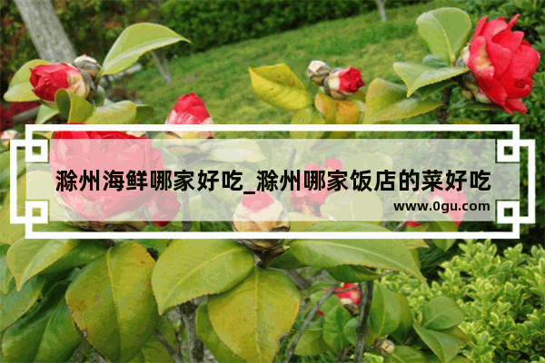滁州海鲜哪家好吃_滁州哪家饭店的菜好吃