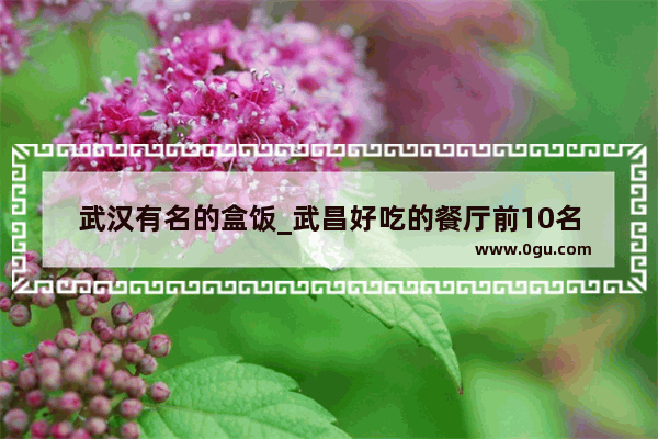 武汉有名的盒饭_武昌好吃的餐厅前10名