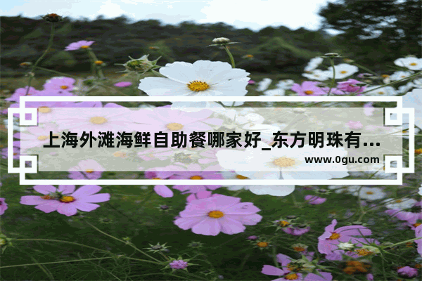 上海外滩海鲜自助餐哪家好_东方明珠有几个自助餐厅