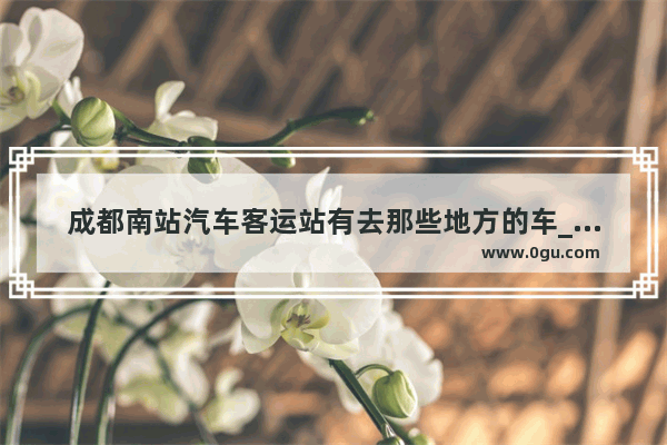 成都南站汽车客运站有去那些地方的车_请问成都火车站附近 住旅馆大概多少钱一晚