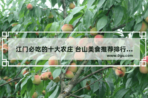 江门必吃的十大农庄 台山美食推荐排行榜前十名有哪些