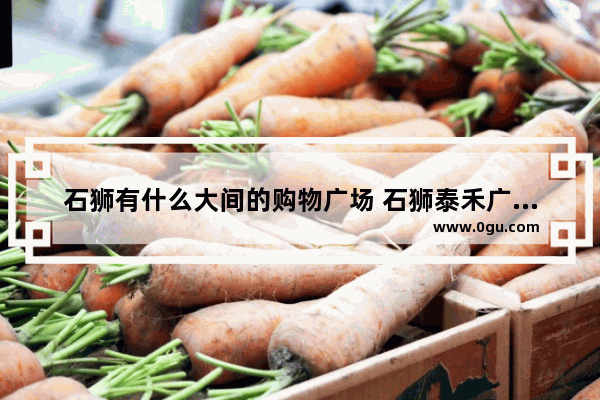 石狮有什么大间的购物广场 石狮泰禾广场美食推荐店在几楼啊