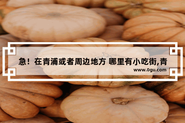 急！在青浦或者周边地方 哪里有小吃街,青浦附近美食推荐店铺地址在哪里啊