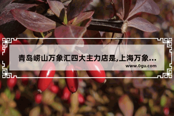 青岛崂山万象汇四大主力店是,上海万象天地美食推荐潮界店在几楼卖