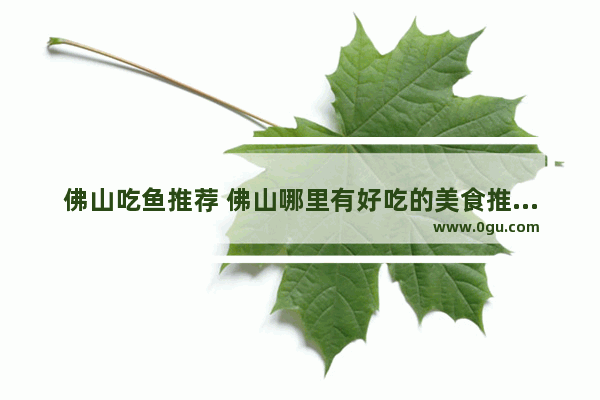 佛山吃鱼推荐 佛山哪里有好吃的美食推荐点