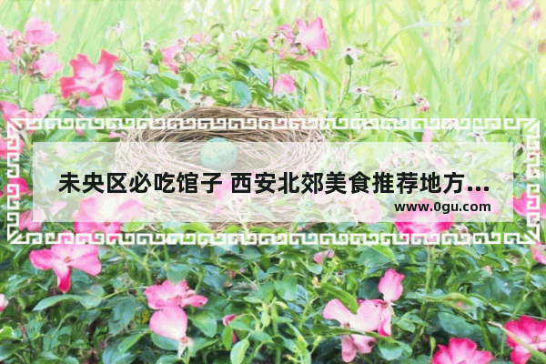 未央区必吃馆子 西安北郊美食推荐地方在哪里呀多少钱