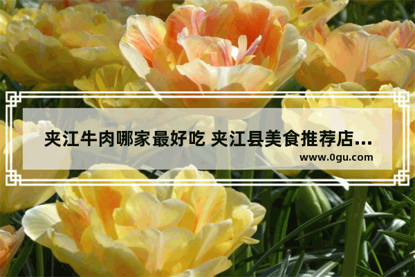 夹江牛肉哪家最好吃 夹江县美食推荐店有哪些