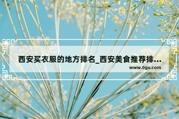 西安买衣服的地方排名_西安美食推荐排行榜前50名有哪些店子