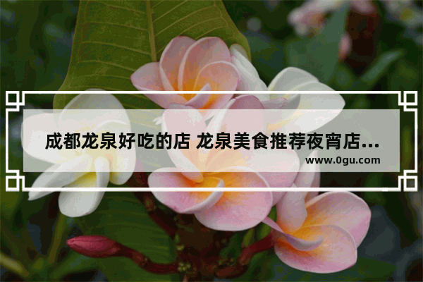 成都龙泉好吃的店 龙泉美食推荐夜宵店有哪些地方