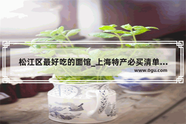 松江区最好吃的面馆_上海特产必买清单南京东路