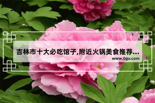 吉林市十大必吃馆子,附近火锅美食推荐餐厅有哪些地方好吃点的