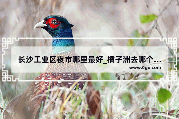 长沙工业区夜市哪里最好_橘子洲去哪个夜市比较近