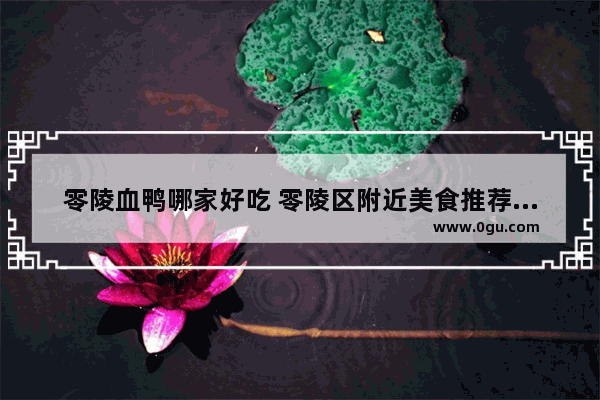 零陵血鸭哪家好吃 零陵区附近美食推荐餐厅有哪些店子