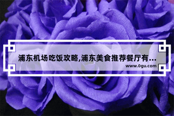浦东机场吃饭攻略,浦东美食推荐餐厅有哪些