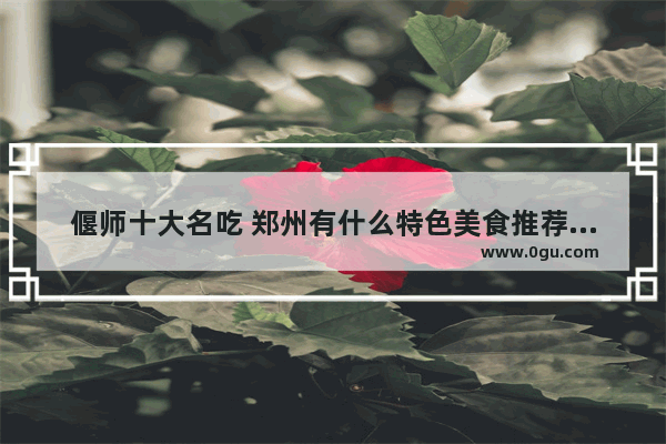 偃师十大名吃 郑州有什么特色美食推荐的地方吗