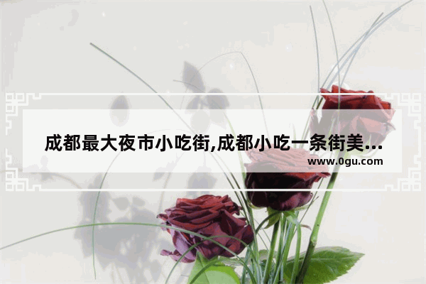 成都最大夜市小吃街,成都小吃一条街美食推荐附近有哪些餐厅好吃点
