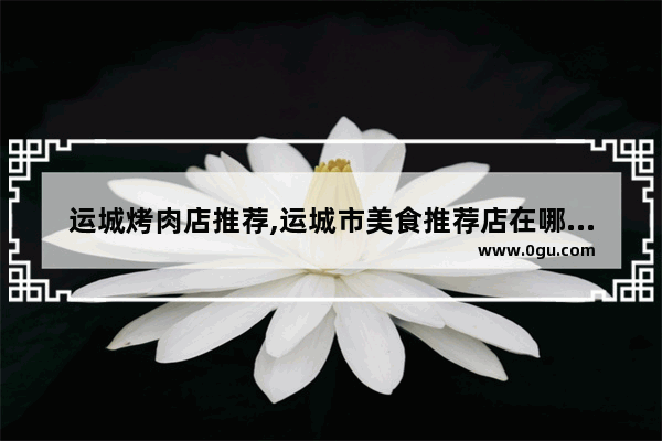 运城烤肉店推荐,运城市美食推荐店在哪个位置啊
