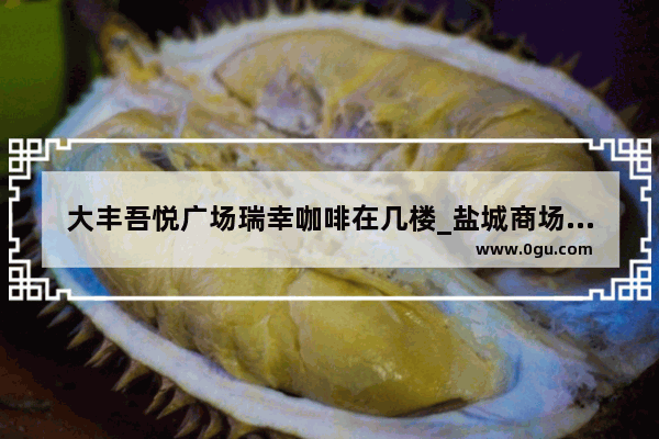 大丰吾悦广场瑞幸咖啡在几楼_盐城商场排名
