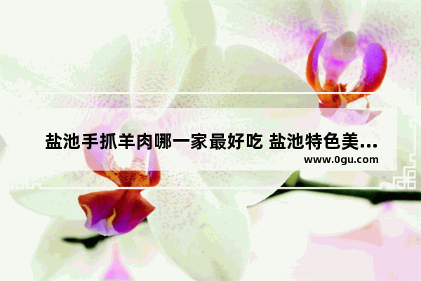 盐池手抓羊肉哪一家最好吃 盐池特色美食推荐