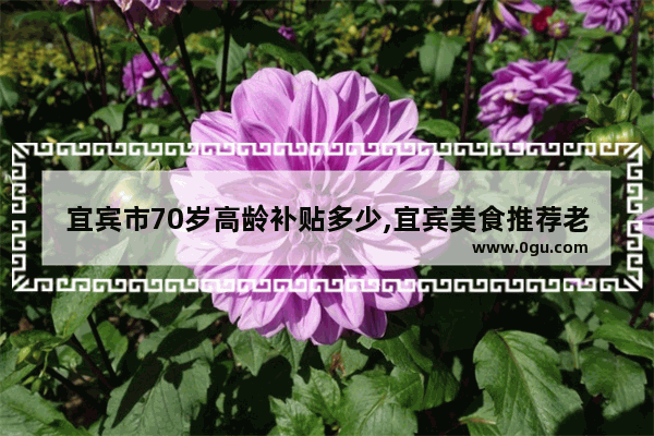 宜宾市70岁高龄补贴多少,宜宾美食推荐老年人可以吃的有哪些地方好吃