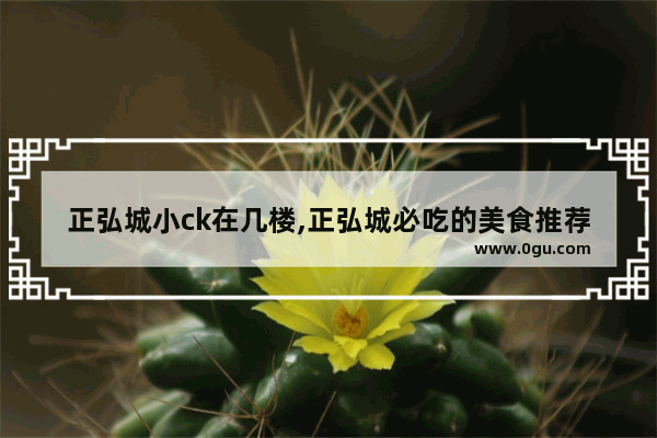 正弘城小ck在几楼,正弘城必吃的美食推荐店有哪些品牌