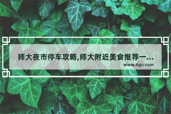 师大夜市停车攻略,师大附近美食推荐一下店铺有哪些地方吃