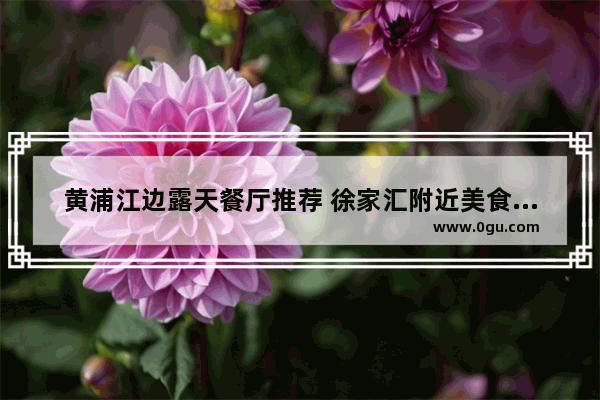 黄浦江边露天餐厅推荐 徐家汇附近美食推荐餐厅有哪些地方